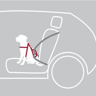 Trixie Köpek Emniyet Kemeri ve Göğüs Tasması Siyah S-M 40-55 Cm 17 Mm - 3