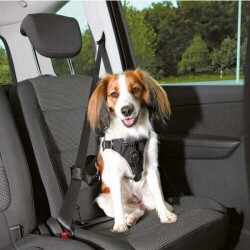 Trixie Köpek Emniyet Kemeri ve Göğüs Tasması Siyah S-M 40-55 Cm 17 Mm - 2