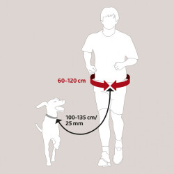 Trixie Yürüme Kemeri ve Köpek Gezdirme Kayışı 60-120/100-135 Cm - 2