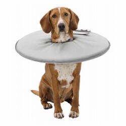 Trixie Köpek ve Kedi Yakalığı XS 23-27 Cm 13 Cm Gri - Trixie