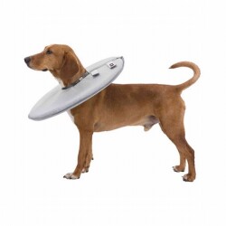 Trixie Köpek ve Kedi Yakalığı XXS-XS 18-21 Cm 11 Cm Gri - Trixie