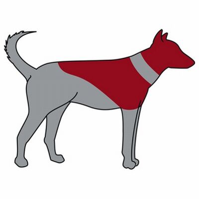 Trixie Koruyucu Şişme Köpek Yakalığı L-Xl Mavi - 2