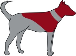Trixie Koruyucu Şişme Köpek Yakalığı M-L Mavi - 2