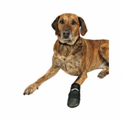 Trixie Neopren Köpek Patiği 2 Adet Siyah XL - Trixie