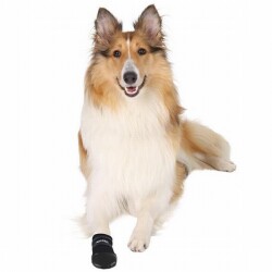 Trixie Neopren Köpek Patiği 2 Adet Siyah XL - 2