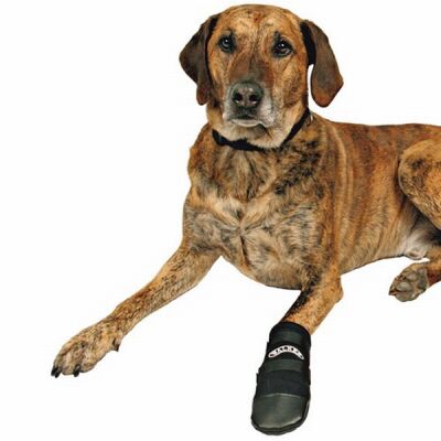 Trixie Neopren Köpek Patiği 2 Adet Siyah XXXL - 1