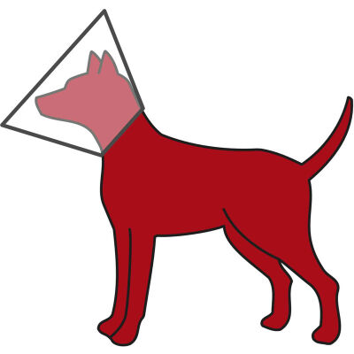 Trixie Şeffaf Plastik Köpek Koruyucu Yakalık L-XL 50-58 Cm 28 Cm - 2
