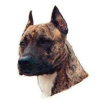 Trixie St-Stafford Terrier Köpek Çıkartması 1 Adet - 1