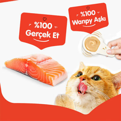 Wanpy Somonlu Kaşık Krema Kedi Ödül Maması 10x16 Gr - 3