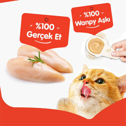Wanpy Tavuklu Kaşık Krema Kedi Ödül Maması 10x16 Gr - 3