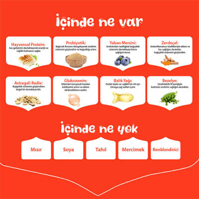 Wanpy With Oven Baked Bites Somonlu Tahılsız Yetişkin Köpek Maması 1,5 Kg - 3