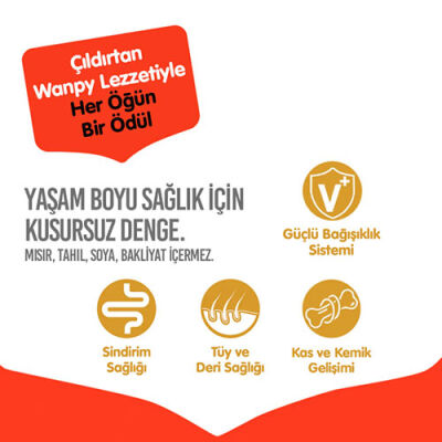 Wanpy With Oven Baked Bites Tavuklu Tahılsız Yavru Köpek Maması 12 Kg - 2